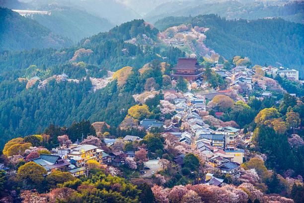 Kanau * Gojo